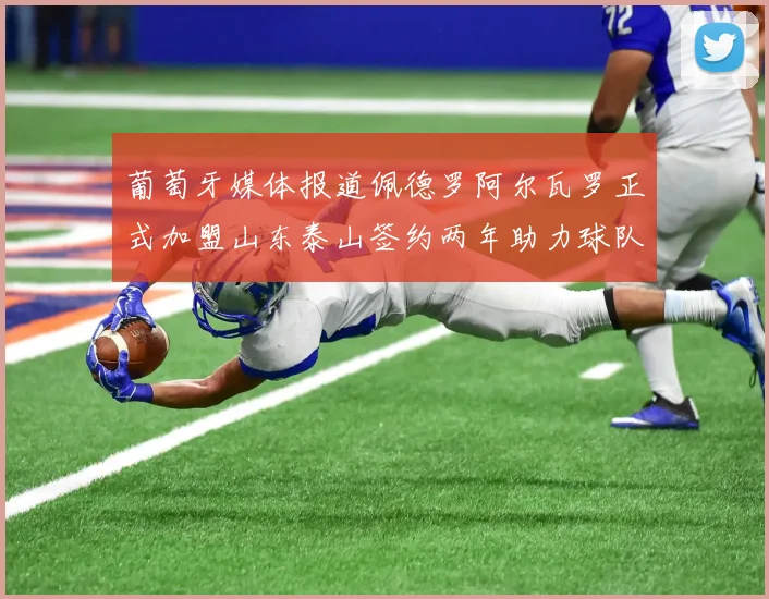 葡萄牙媒体报道佩德罗阿尔瓦罗正式加盟山东泰山签约两年助力球队发展