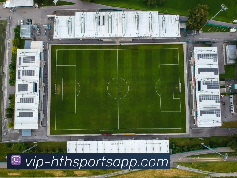 App Interface Preview